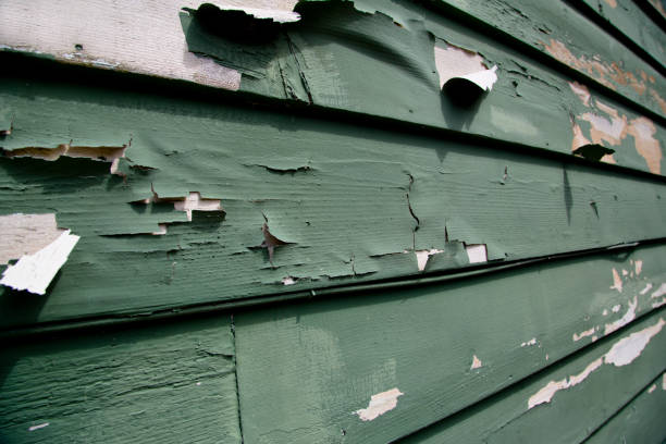 Best Property Management Cleanouts  in Everett, MA