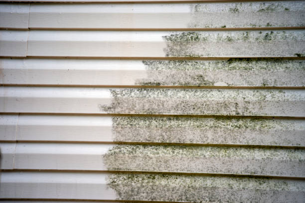 Best Construction Debris Removal  in Everett, MA