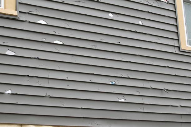 Best Moving and Downsizing Cleanouts  in Everett, MA